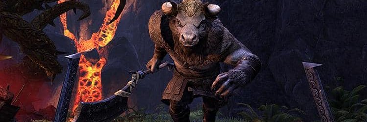 HackMinotaur's profile banner image