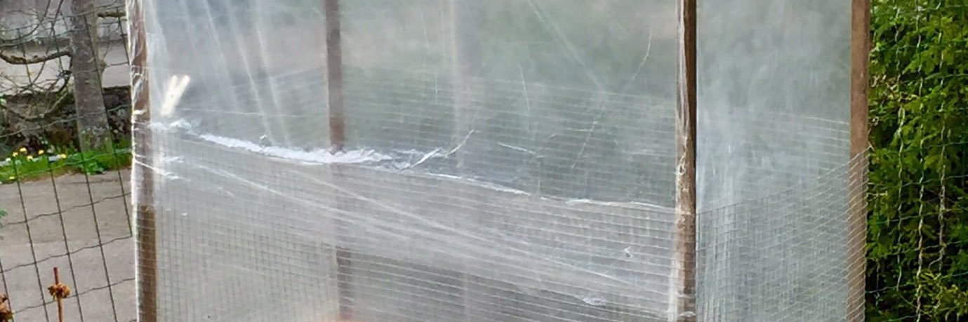 Catman_66's profile banner image
