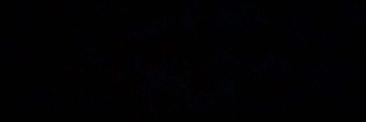 zvxv0's profile banner image