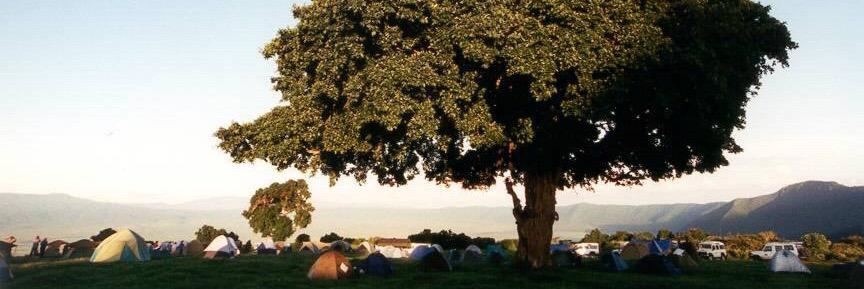 Michel Rademaker banner