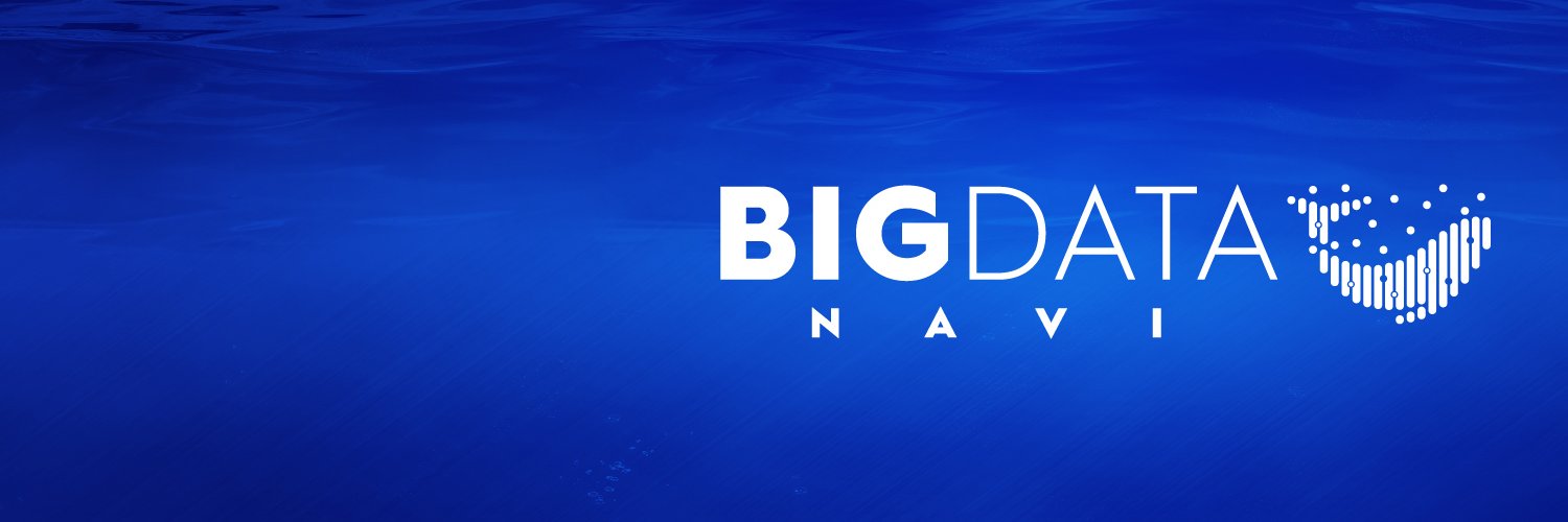 BIGDATA NAVI profile