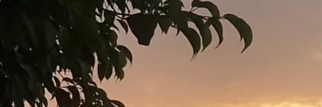 an__6578's profile banner image