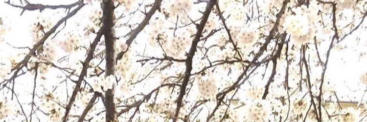 hiroseke_wtsk's profile banner image