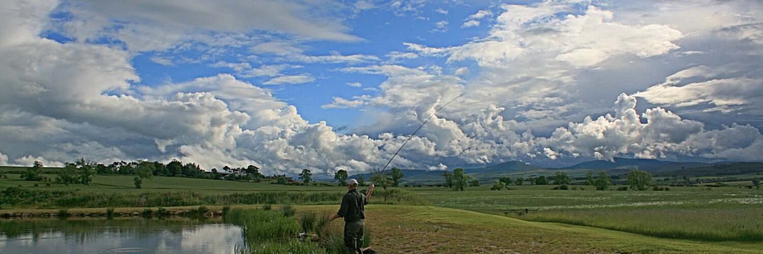 TroutFishMag banner