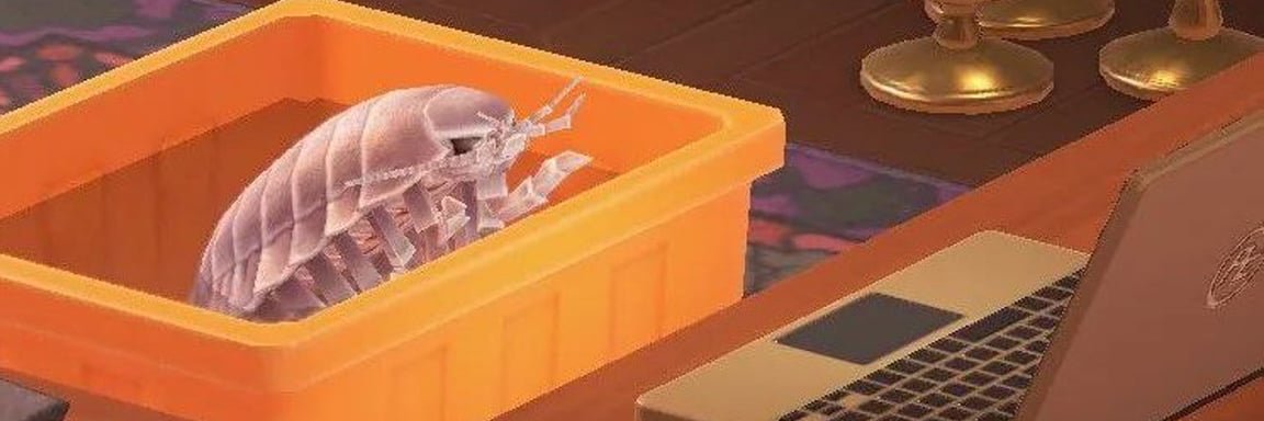 dancerfromhell_'s profile banner image