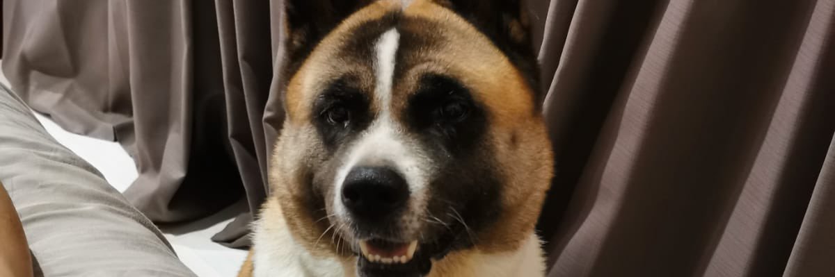 dalinchloe's profile banner image