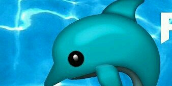 DolphinRoderick's profile banner image