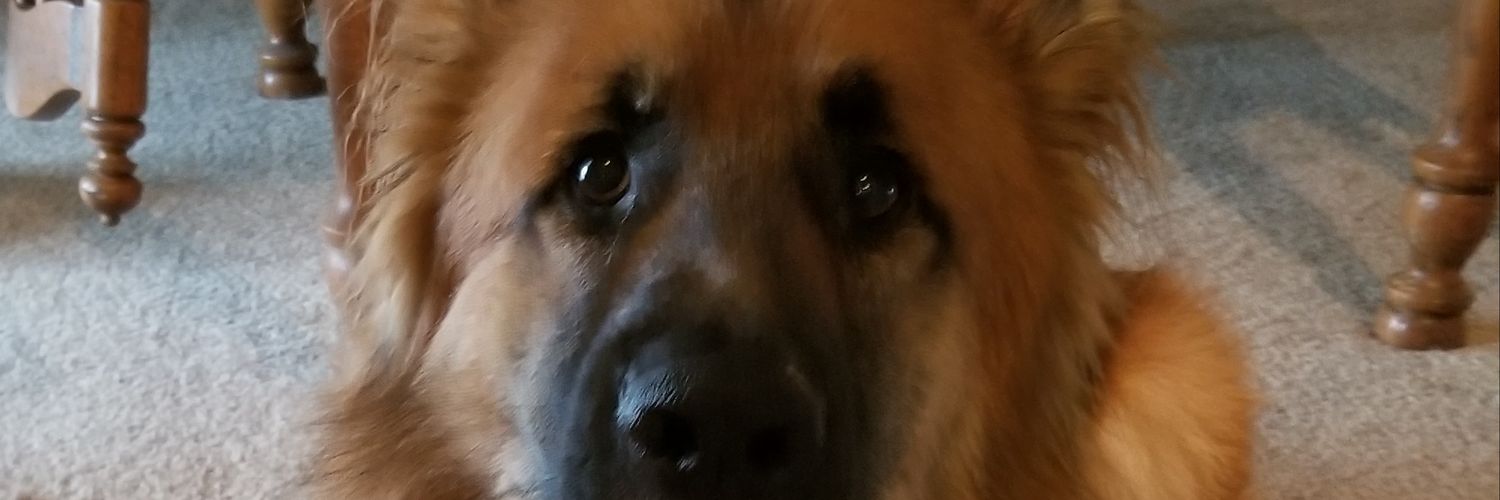 Michelefl1's profile banner image