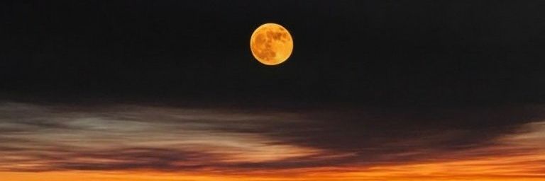 Estefierrote__'s profile banner image