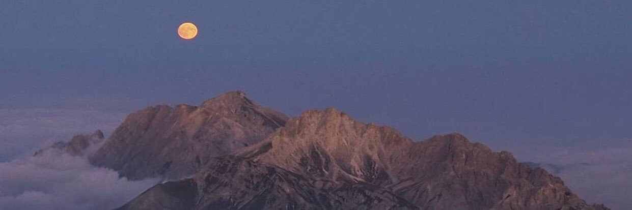 Shevaemi's profile banner image