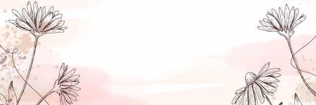 mellobee's profile banner image