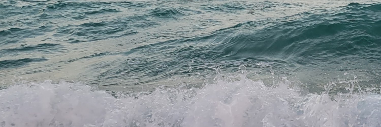 allym444's profile banner image