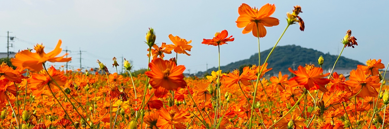 hassy1127's profile banner image