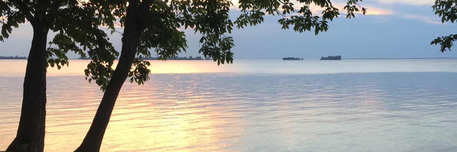 Caela_Sheley's profile banner image