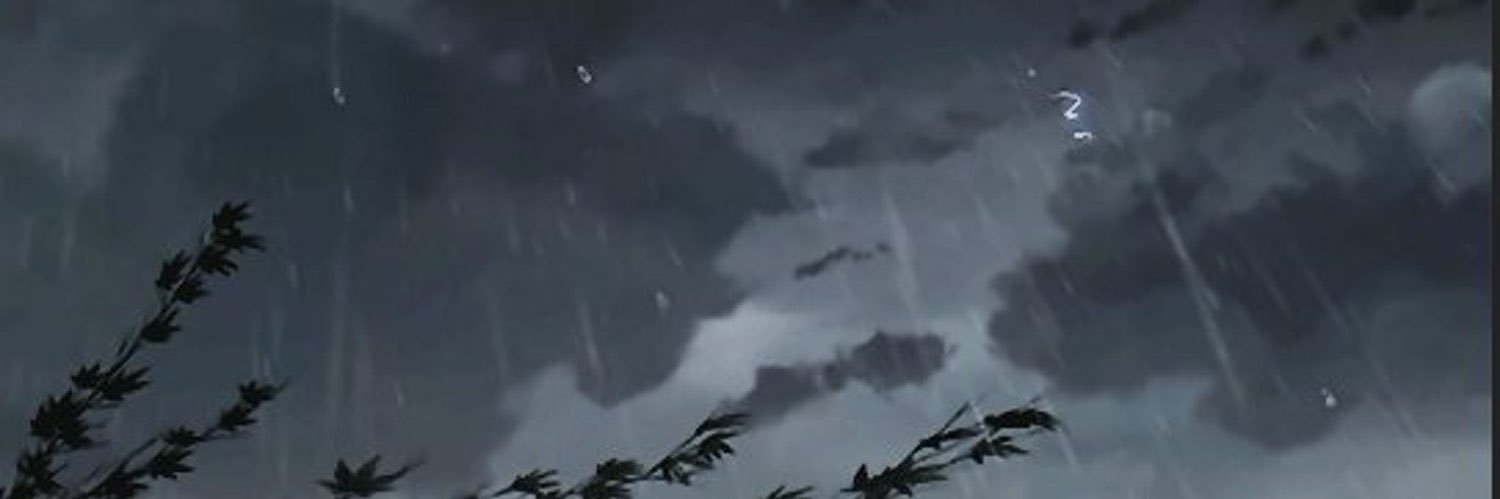 Leiko banner