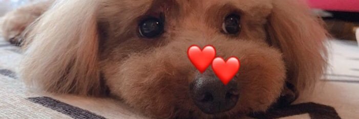 __2218__'s profile banner image