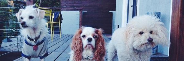 MicheleJosue Profile Banner