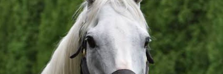 AtpritamSk's profile banner image