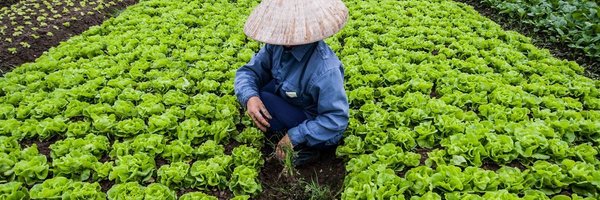 shebreaksground Profile Banner