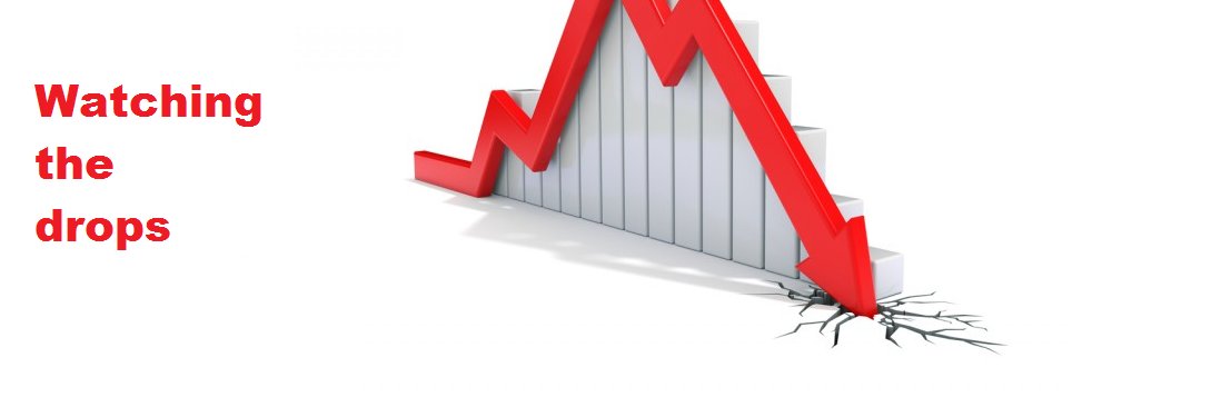 Property Lion banner