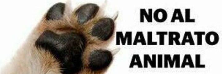 SyR 🆓️ ✊ Contra la manipulación y la corrupción. banner