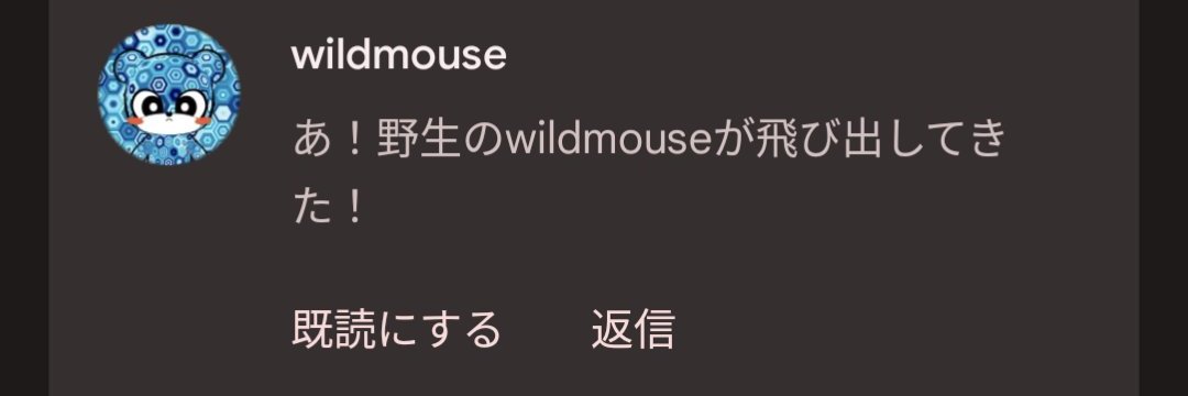 wildmouse.eth 🐭🐹 banner