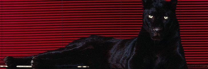 _gzz404's profile banner image