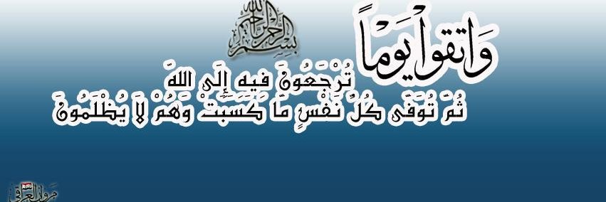 mdelshwki's profile banner image