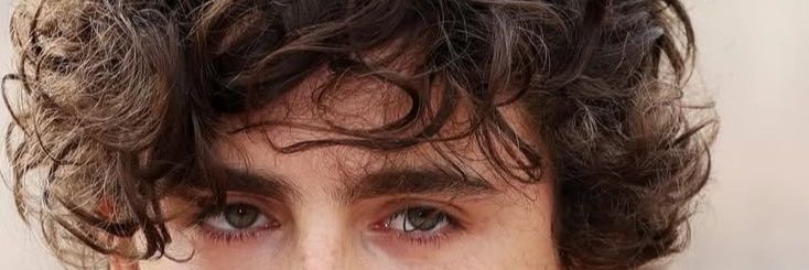 Timothée Chalamets Hair banner