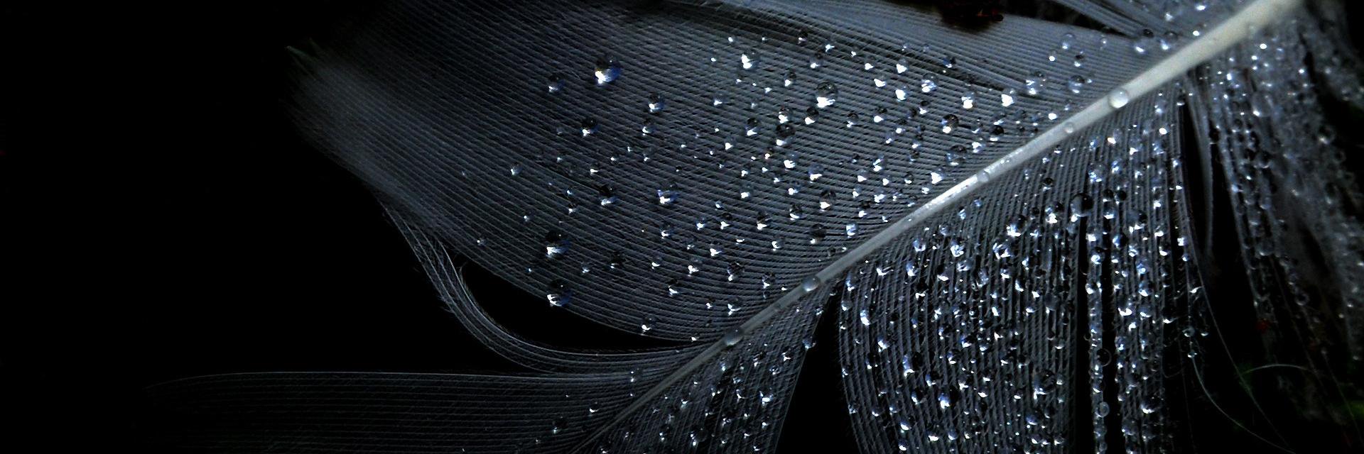 KeylSunders's profile banner image