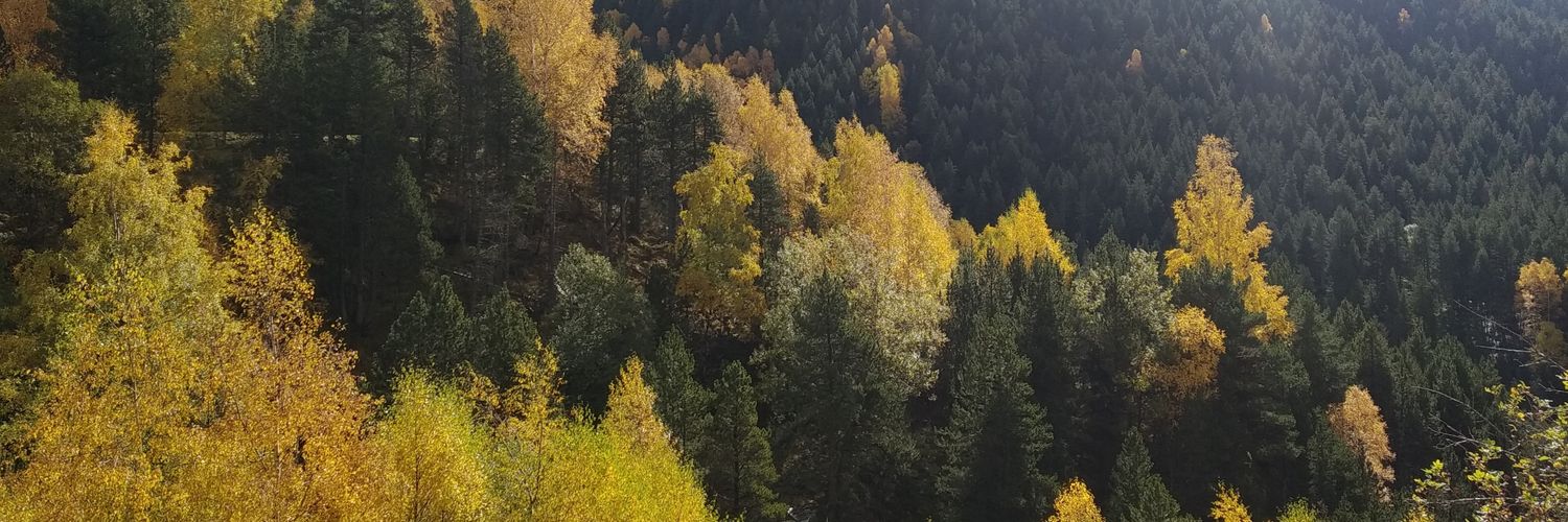 Helena Martín banner