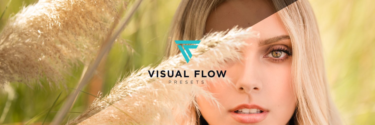 Visual Flow banner