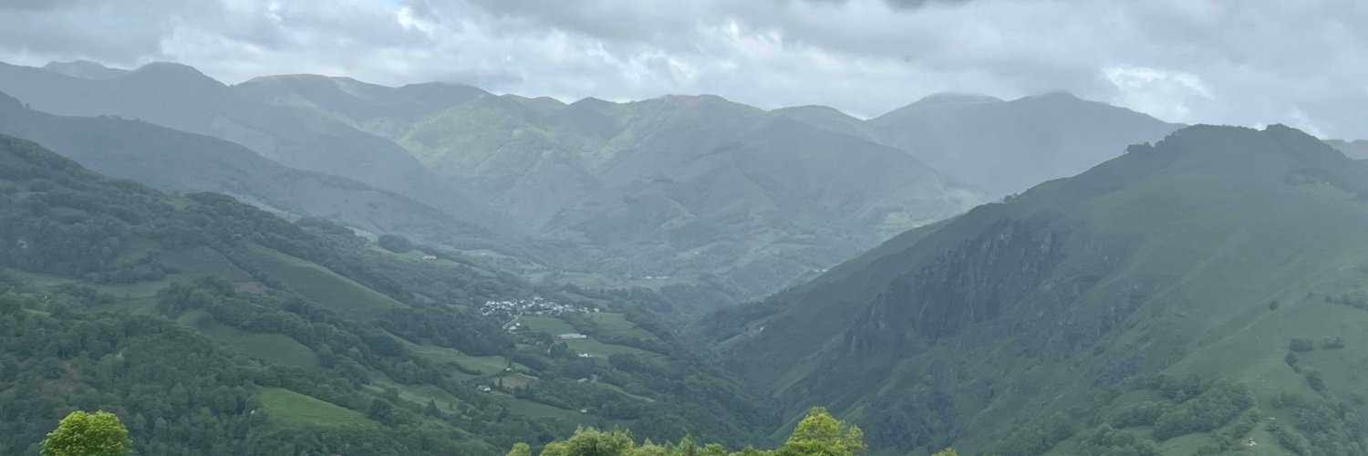 jean-luc sallaberry banner