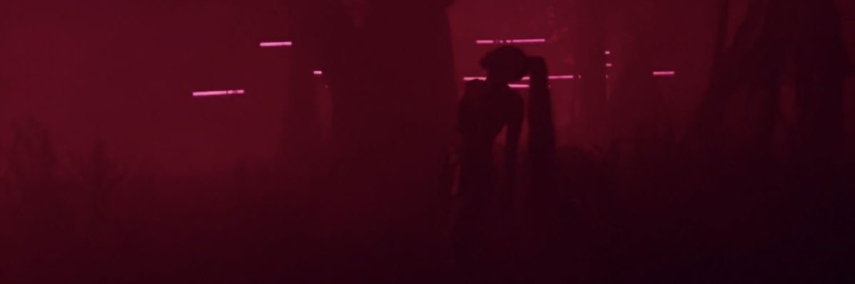 jordan ꕤ banner