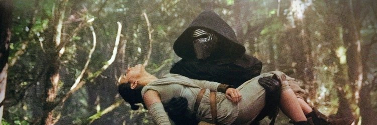 Ben Solo is alive 🦋🍂 banner