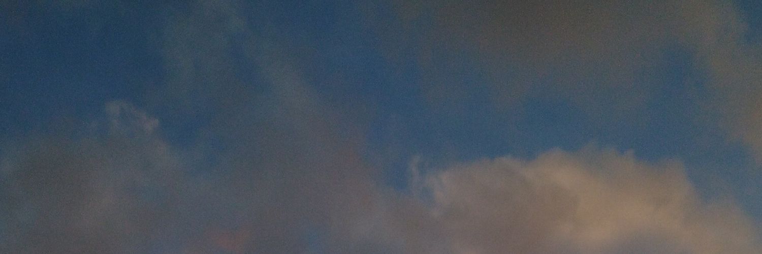 sam banner