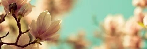 dsweet_90's profile banner image