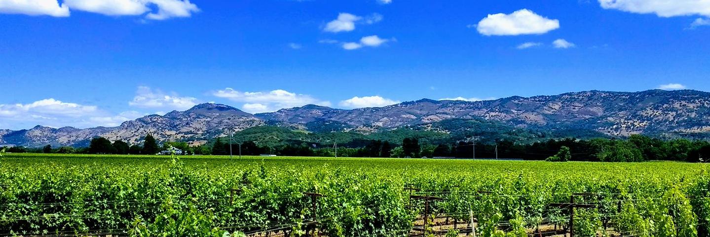 Gillian Giannetti banner