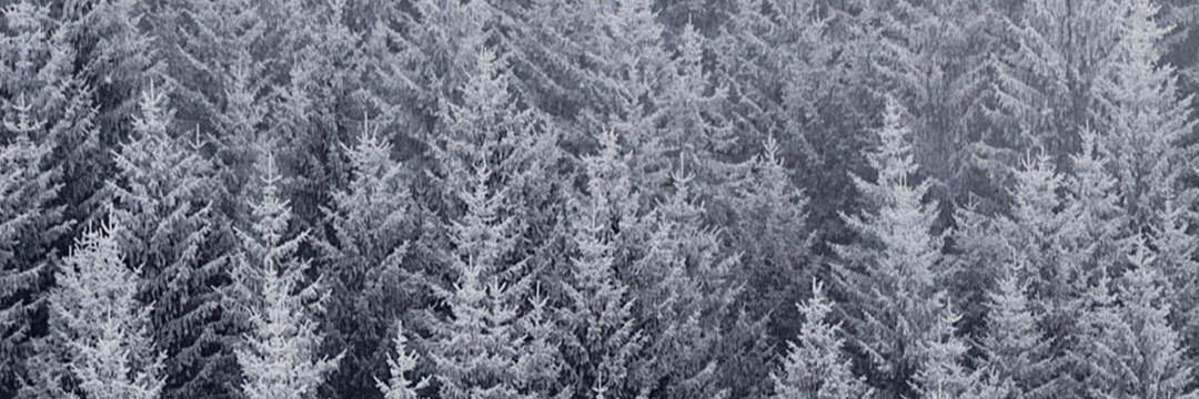 XplosivX's profile banner image
