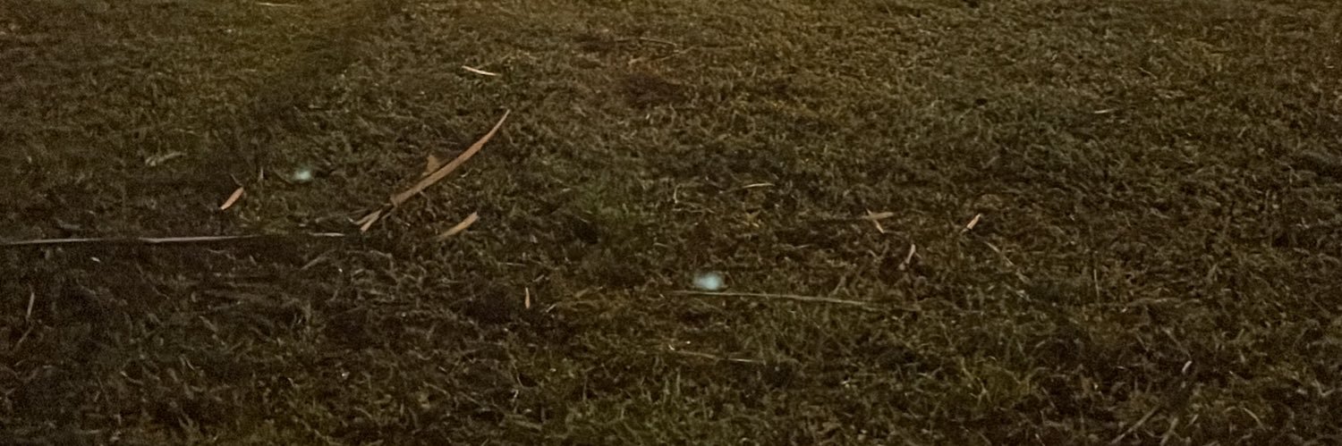 Bram_Gx 🤠 banner