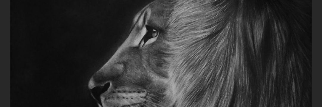 gallojimnez's profile banner image
