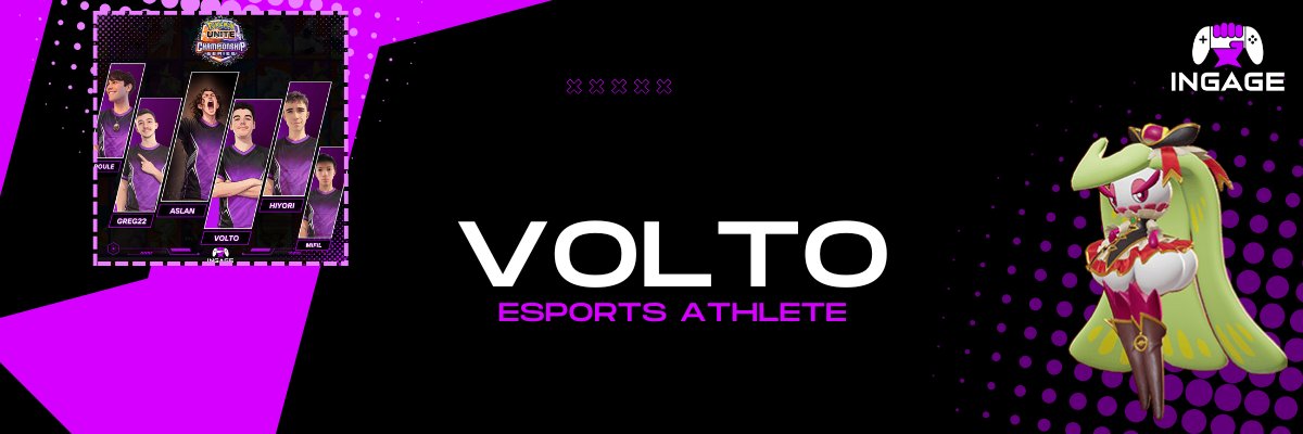 Volto-Hunter banner