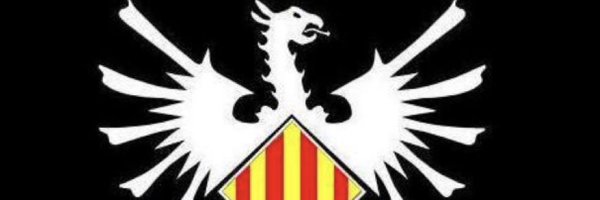 CATALUNYA INDEPENDENT 🇺🇦 🇪🇺 Profile Banner