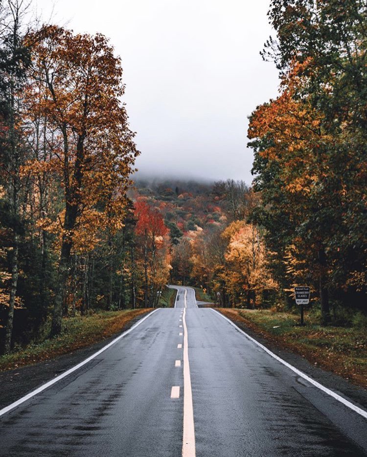 ashton_rexroad's profile banner image