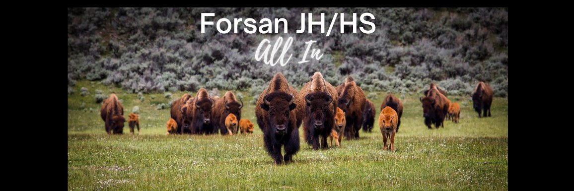 Forsan JH/HS banner