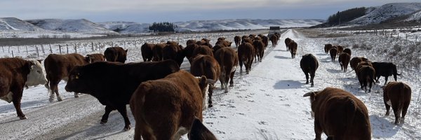 JocWasko Profile Banner