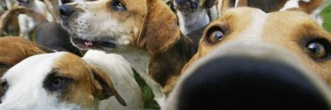 bobmills52's profile banner image