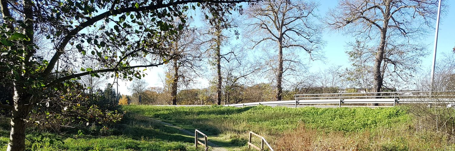 Taunusstein Infos banner