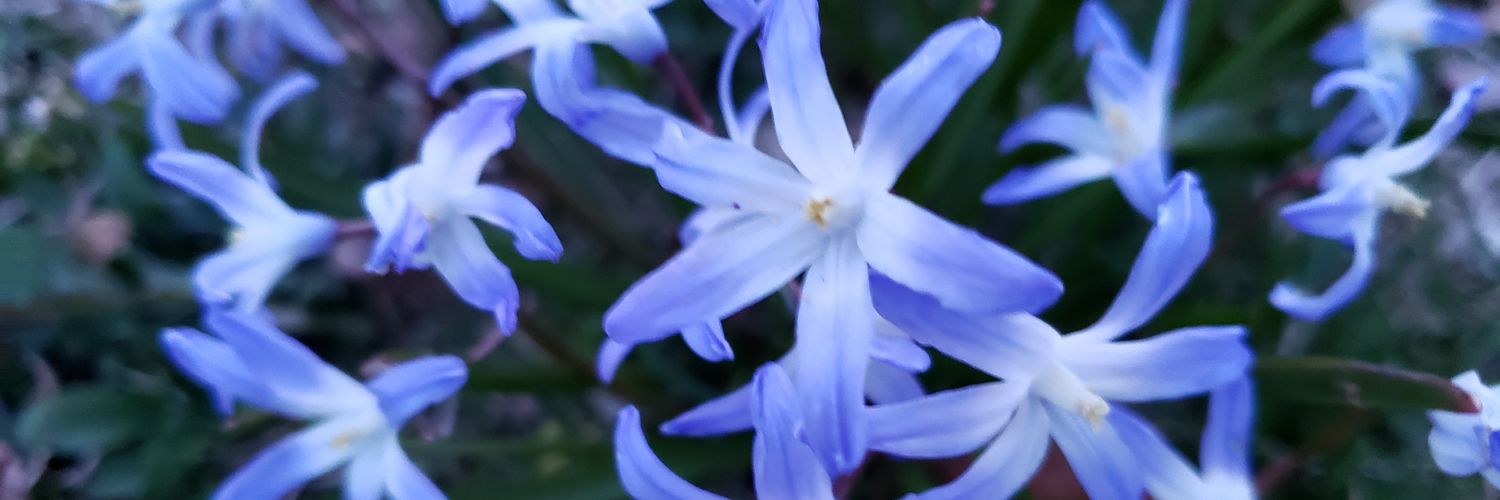 isisarguello's profile banner image