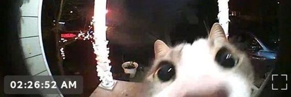 ronzitoo Profile Banner
